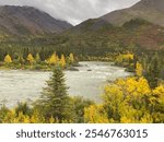 Nenana River Alaska Near Denali National Park