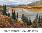 Nenana River, Cantwell, Alaska, USA