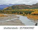 Nenana River, Cantwell, Alaska, USA