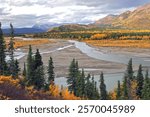 Nenana River, Cantwell, Alaska, USA