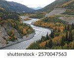 Nenana River, Healy, Alaska, USA