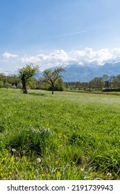 Nendeln, Liechtenstein, April 28, 2022 Beautiful Landscape On A Sunny Day In Spring Time