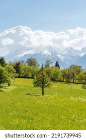 Nendeln, Liechtenstein, April 28, 2022 Beautiful Landscape On A Sunny Day In Spring Time