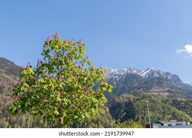 Nendeln, Liechtenstein, April 28, 2022 Beautiful Landscape On A Sunny Day In Spring Time