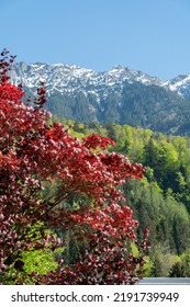 Nendeln, Liechtenstein, April 28, 2022 Beautiful Landscape On A Sunny Day In Spring Time