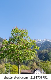 Nendeln, Liechtenstein, April 28, 2022 Beautiful Landscape On A Sunny Day In Spring Time