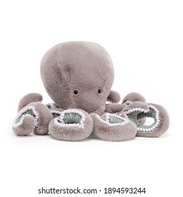 the octopus teddy