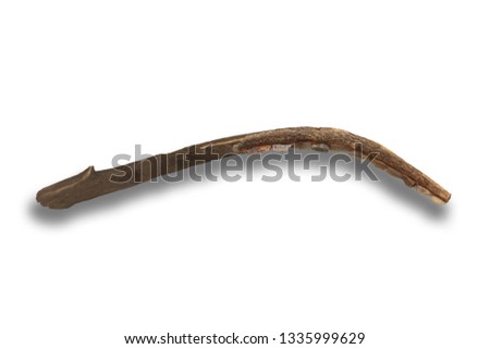 Neolithic sickle made with silex blades. The sickle influenced on the Neolithic Agricultural Revolution deeply. Isolated over white background