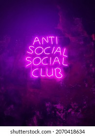 Neon Background Picture Pink Antisocial Club Stock Photo 2070418634 ...