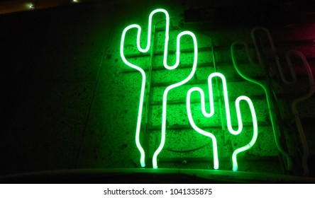  Neon Cactus At The Night