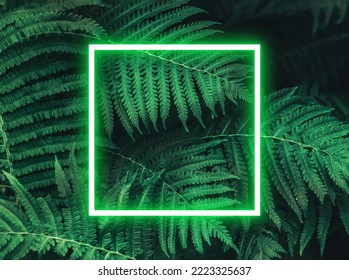 Neon frame on vibrant green leaves with rain drops background. Natural textured foliage. Dark forest flowers. Backplate for party, futuristic and cyberwave thematic collections. Environment concept - Powered by Shutterstock