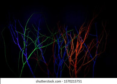 Neon Glow Acrylic UV Blacklight Paint On Tree Branch, Reflective Glow In The Dark Background. Luminous Paint Abstract Background.