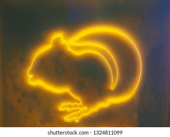 neon lamps of nature things, flower,animals - Powered by Shutterstock