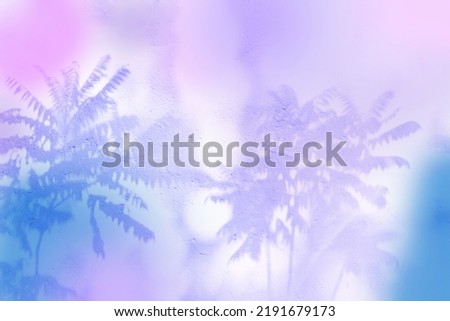 Neon shadows on the wall from palm trees. Shadow overlay of tropical palm leaves.