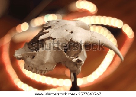 Neon Spirits The Fusion of Bone and Light