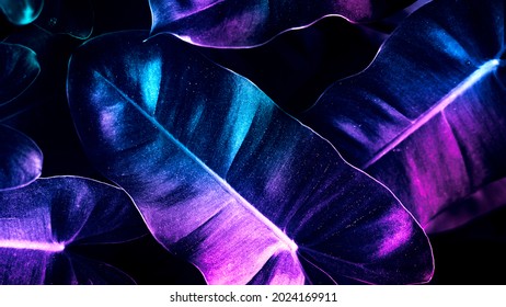 Neon Tropical Anthurium Leaves Poster