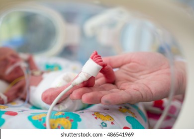 neonatal infant pulse oximeter for premature babies