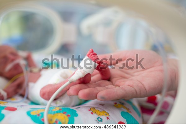 neonatal
infant pulse oximeter for premature
babies
