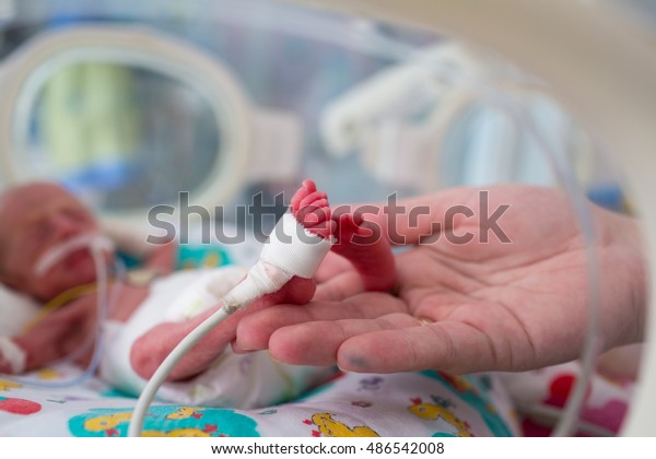 neonatal\
infant pulse oximeter for premature\
babies