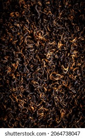  Nepal Black Tea , Camelia Sinensis Plant, Golden Sprout, Nepal Black Ruby Tea