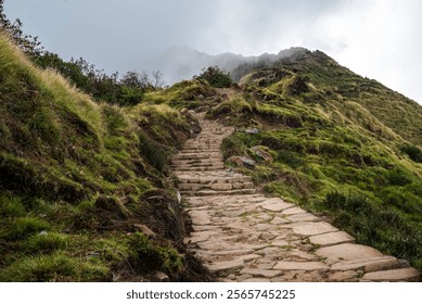 Nepal, Mardi Himal Trek path in the Annapurna Region