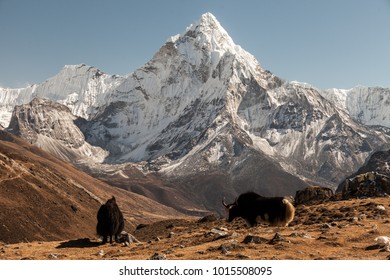 Ama Dablam Mountain Sun Illuminates Slopes Stockfoto 1015508149 ...