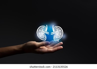 Nephrologist doctor, kidneys issues. Medical technologies concept. Nephrology. - Shutterstock ID 2113135526