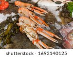 Nephrops norvegicus, known variously as the Norway lobster, Dublin Bay prawn, langoustine or scampi, a slim, orange-pink lobster. Fresh Food Buffet Brunch Catering Dining Eating Party Sharing Concept