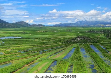 Neretva Delta 