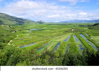 Neretva Delta