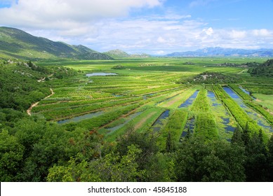 Neretva Delta