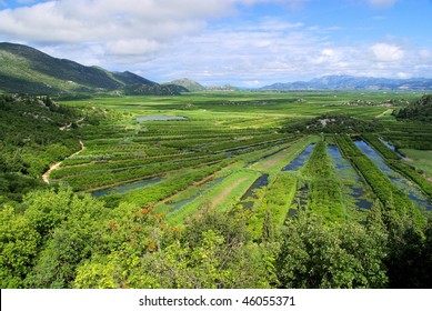 Neretva Delta