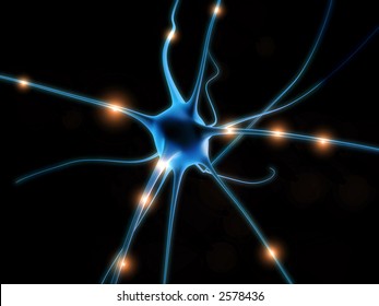 nerve cell