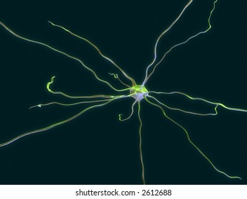 nerve cell