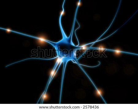 nerve cell