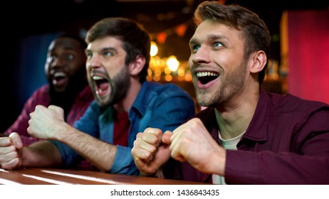 Nervous Box Fans Watching Favorite Sport On Big Screen In Bar, Tournament