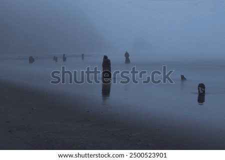 Image, Stock Photo Sunset in ghost forest