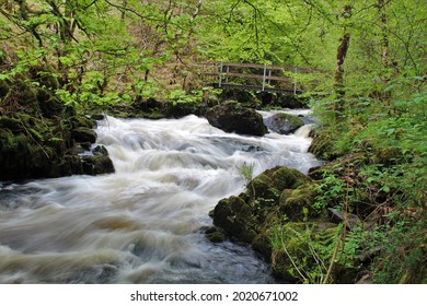 Ness Glen - Galloway Forest Park