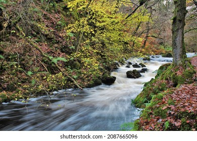 Ness Glen - South West Scotland