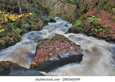 Ness Glen - South West Scotland