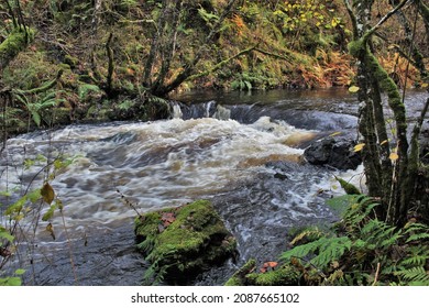 Ness Glen - South West Scotland