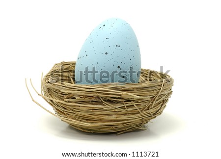 Nest with a Blue Egg