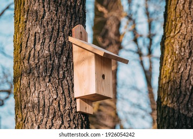 Nest box on a tree. New nestbox. Wooden birdhouse. Birdbox. bird box in the park. 