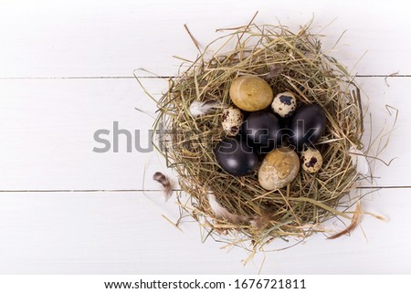 nest with colored easter eggs on white wooden background