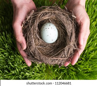 Nest Egg Concept