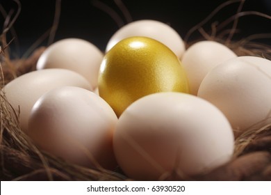 Nest Of Egg With One Golden Egg