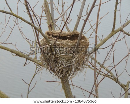 A nest on tree branch