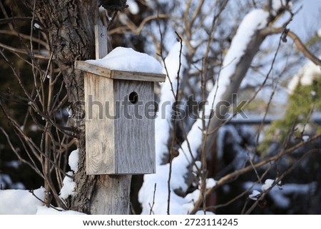 A nesting box covered in snow hangs from a fruit tree in the allotment garden.