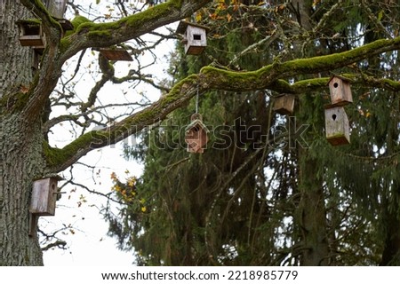 Nesting boxes on the tree, selectve focus. High quality photo