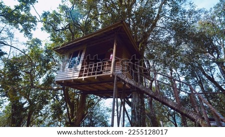 Nestled among the lush greenery of Kerala, a treehouse offers a secluded retreat with a picturesque view.                  